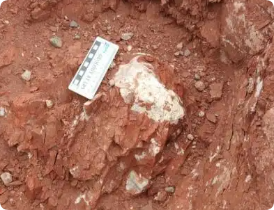 中国科学家发现了史前生物大灭绝中的避难所